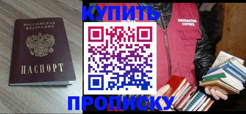 прописка 2025 в Ельне